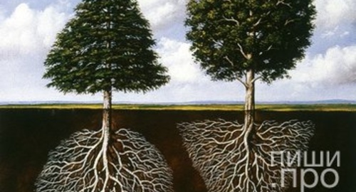 Теория литературы и литературоведения: 27 материалов