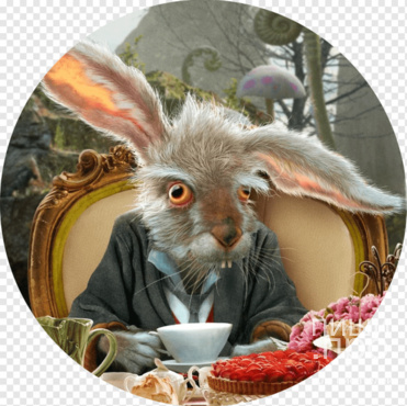 Финт ушами Финт ушами